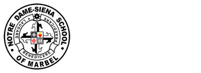 Logo-NDSSM-light_v3